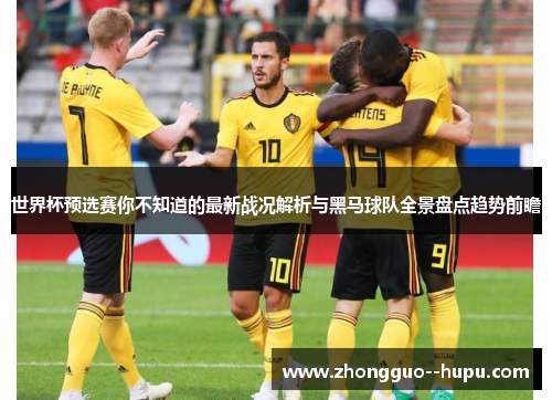 世界杯预选赛你不知道的最新战况解析与黑马球队全景盘点趋势前瞻
