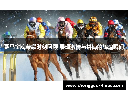赛马金牌荣耀时刻回顾 展现激情与拼搏的辉煌瞬间