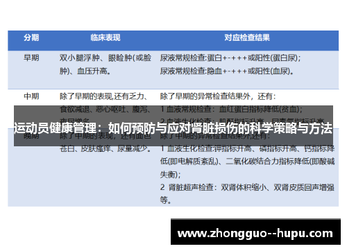 运动员健康管理：如何预防与应对肾脏损伤的科学策略与方法