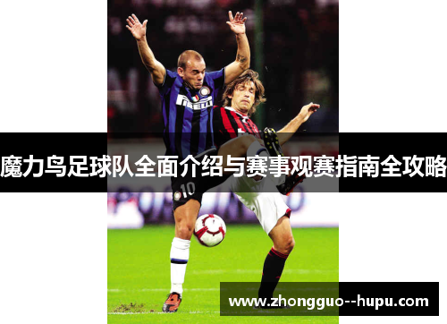 魔力鸟足球队全面介绍与赛事观赛指南全攻略